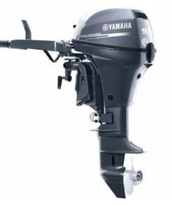 2020 Yamaha 9.9 HP F9.9LEB