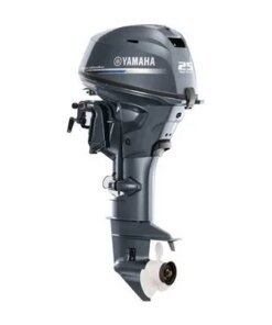 2019 Yamaha T25 – 20″ Shaft